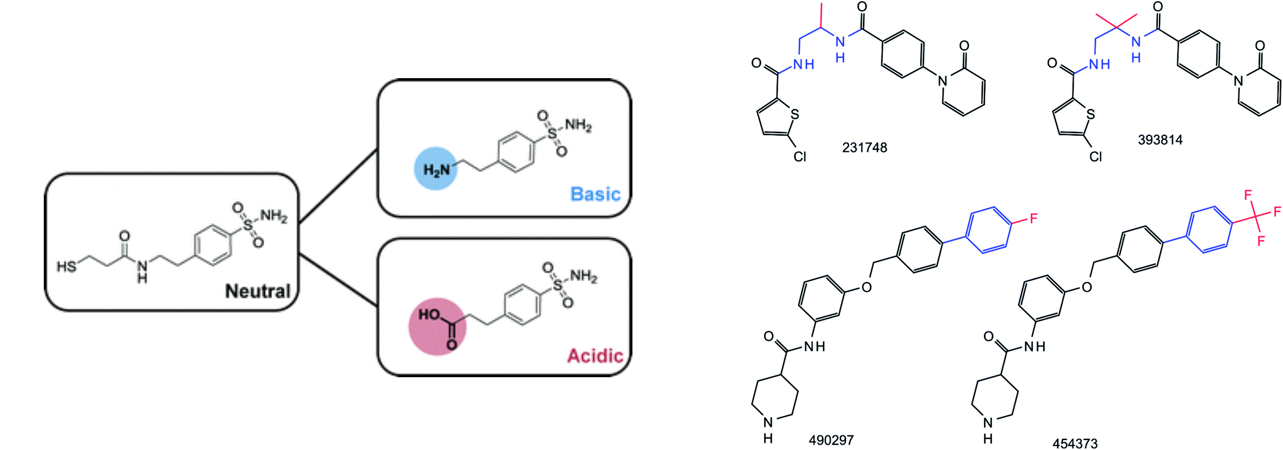 Matched molecular pairs illustration